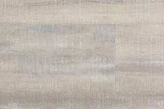 Dove_-_3065