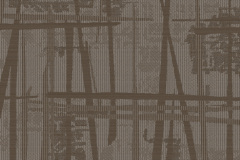 1_Jupiter-5003