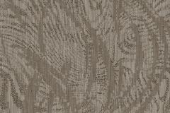 Calypso-1703