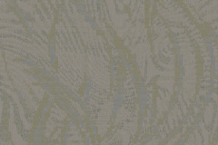 Calypso-5004